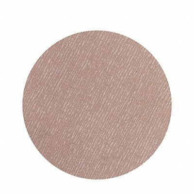NORTON 66261131521 Hook & Loop Sanding Disc 3 in Dia