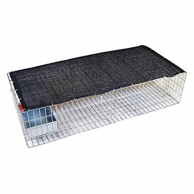 BIRD BARRIER TTSW10 Pigeon Trap w/Shade Water and Feeder