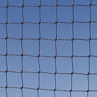 BIRD BARRIER N1XB220 Net Heavy Duty Black 3/4 50 x 50 ft