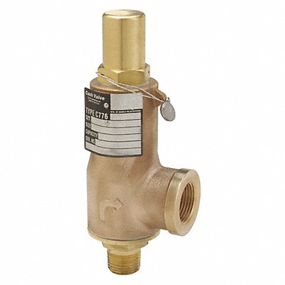 CASH VALVE C776BDDEK01KM80150 Relief Valve Bronze 150 psi 2-1/2 L