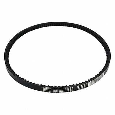 CONTINENTAL BX38 Cogged V-Belt BX38 41in