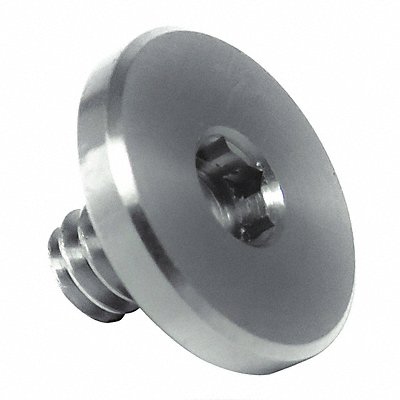 GRAINGER Z1908 Binding Screw 316SS 1/4 -20 1/2 L