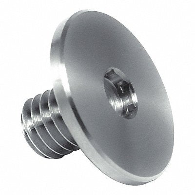GRAINGER Z1918 Binding Screw 316SS 3/8 -16 1/2 L