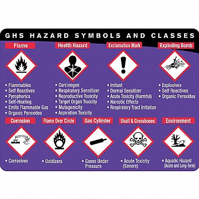 LABELMASTER GHISTRNWC1 Wallet Card Workplace Safety Eng PK25