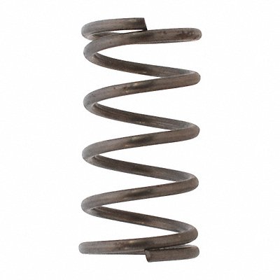 DAYTON PN5ZL18007G Valve Spring Westward