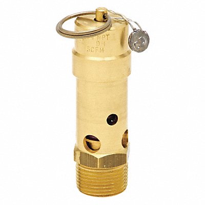 CONTROL DEVICES SB750A100 Air Safety Valve 3/4 Inlet 100 psi