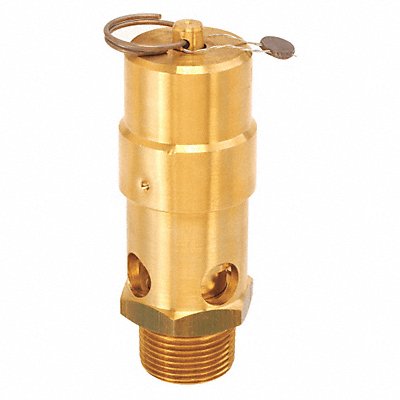 CONTROL DEVICES SW100A200 Air Safety Valve 1 Inlet 200 psi