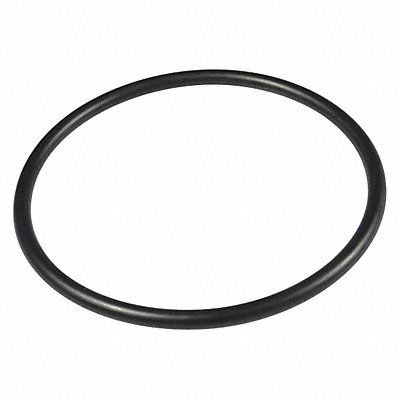 SPEEDAIRE TTM400010G O-Ring Not Applicable Speedaire