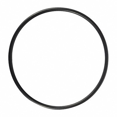 SPEEDAIRE TT2041109051700G O-Ring Not Applicable Speedaire