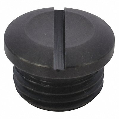 SPEEDAIRE TTR4420406G Valve Cap Speedaire