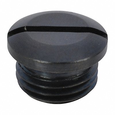SPEEDAIRE TTRB44204K06G Valve Cap Speedaire