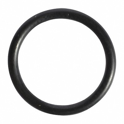 SPEEDAIRE TTR8212438G O-Ring Speedaire