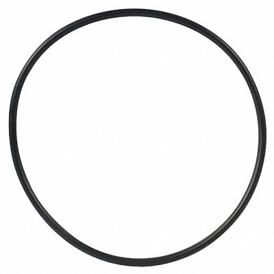 SPEEDAIRE TTR8212430G O-Ring Speedaire
