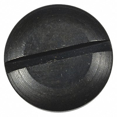SPEEDAIRE TTR4320306G Valve Cap Speedaire