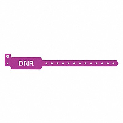 IDENTIPLUS P3DM20336 ID Wristband 10-1/4 in L DNR PK500