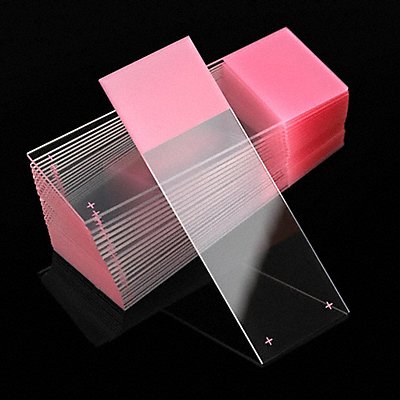 GLOBE SCIENTIFIC 1358P K7701 Microscope Slide Pink PK72