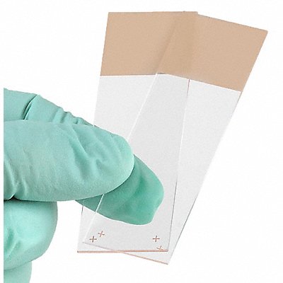 GLOBE SCIENTIFIC 1358T K7701 Microscope Slide Tan PK72