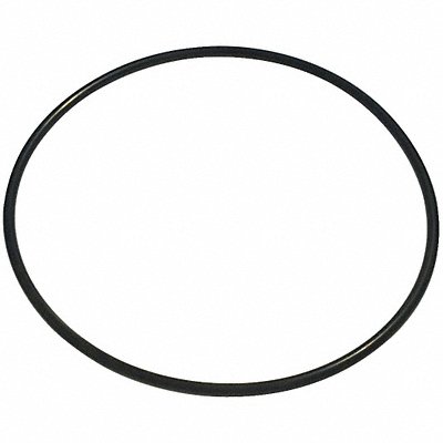 DAYTON PPTLSP005G O-Ring NBR