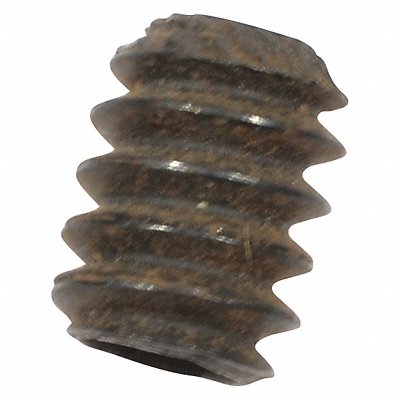 DAYTON PPTPXW809G Screw Set