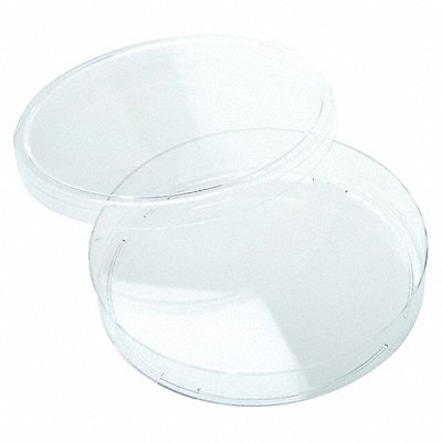 LAB SAFETY SUPPLY 667694 Petri Dish 100 x 15 mm 15mL PK500