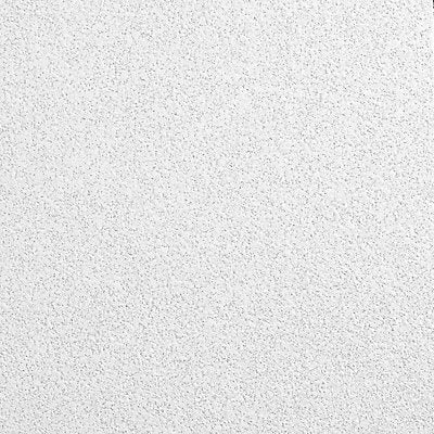 ARMSTRONG 1935A Ceiling Tile 24 in L 24 in W PK12