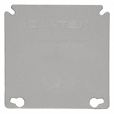 CANTEX EZXKLR Plastic Ring Cover 2-Gang 4 in