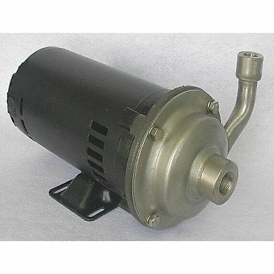 DAYTON 4JMV6 Centrifugal Pump 304SStl 3P 3/4in 3/4hp 58gpm