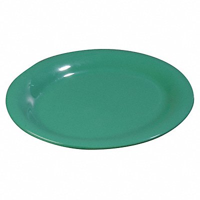 CARLISLE 4300409 Dinner Plate 9.05 Dia Green PK24
