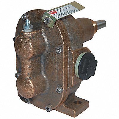 DAYTON 4KHG8 Rotary Gear Pump Head 3/4 in 1 HP