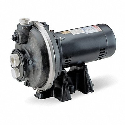 DAYTON 4RK03 Pool Pump 1/2 hp 115/230V AC 1 Phase