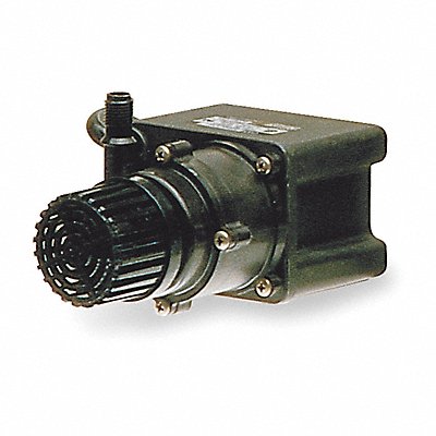 LITTLE GIANT 589204 Magnt Drv Pmp 1/4in NPT 1/35hp Glss PP