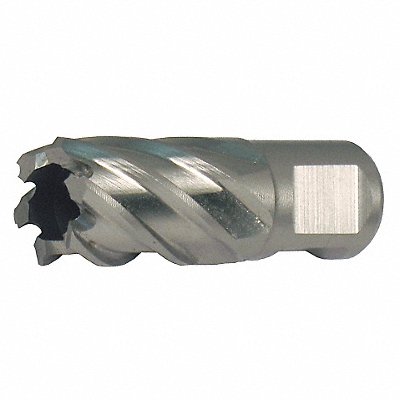 GRAINGER 4THA5 Annular Cutter 1.3125in HSS
