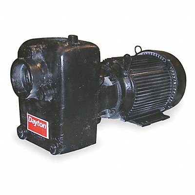 DAYTON 12N810 Self Priming Pump 3 HP Cast Iron