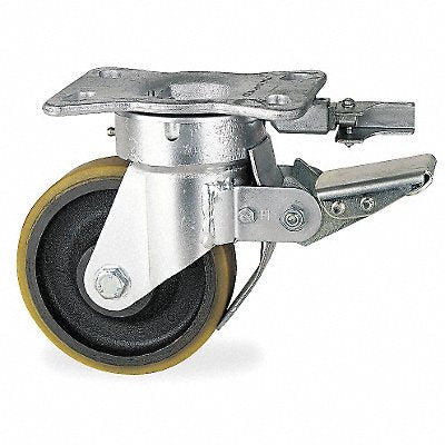 GRAINGER TSH150PT15T24BD Kingpinless Plate Castor Swivel 1600 lb.