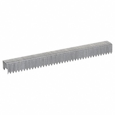 ARROW 506IP Staples T50 3/8x3/8 In L PK5000