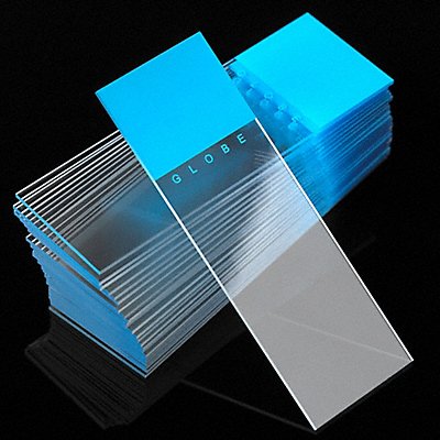 GLOBE SCIENTIFIC 138050B Microscope Slide Blue PK1440