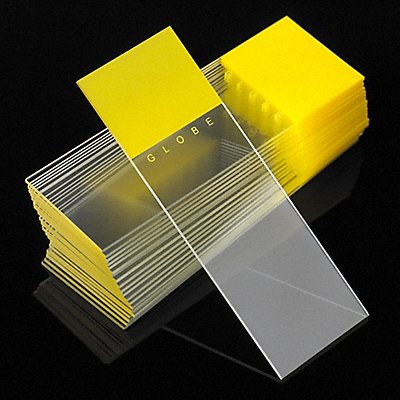 GLOBE SCIENTIFIC 138050Y Microscope Slide Yellow PK1440