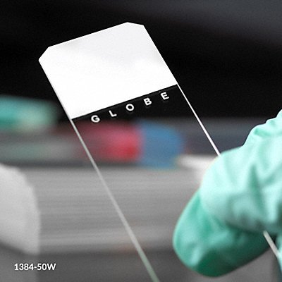 GLOBE SCIENTIFIC 138450W Microscope Slide White PK1440