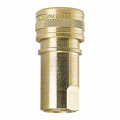 FOSTER H3B Brass Socket 3/8 x3/8 FPT