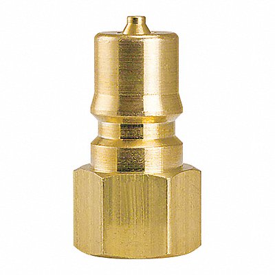FOSTER K1B Brass Plug 1/8 x1/8 FPT