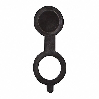 WESTWARD 52NZ22 Grease Fitting Caps Black PK10