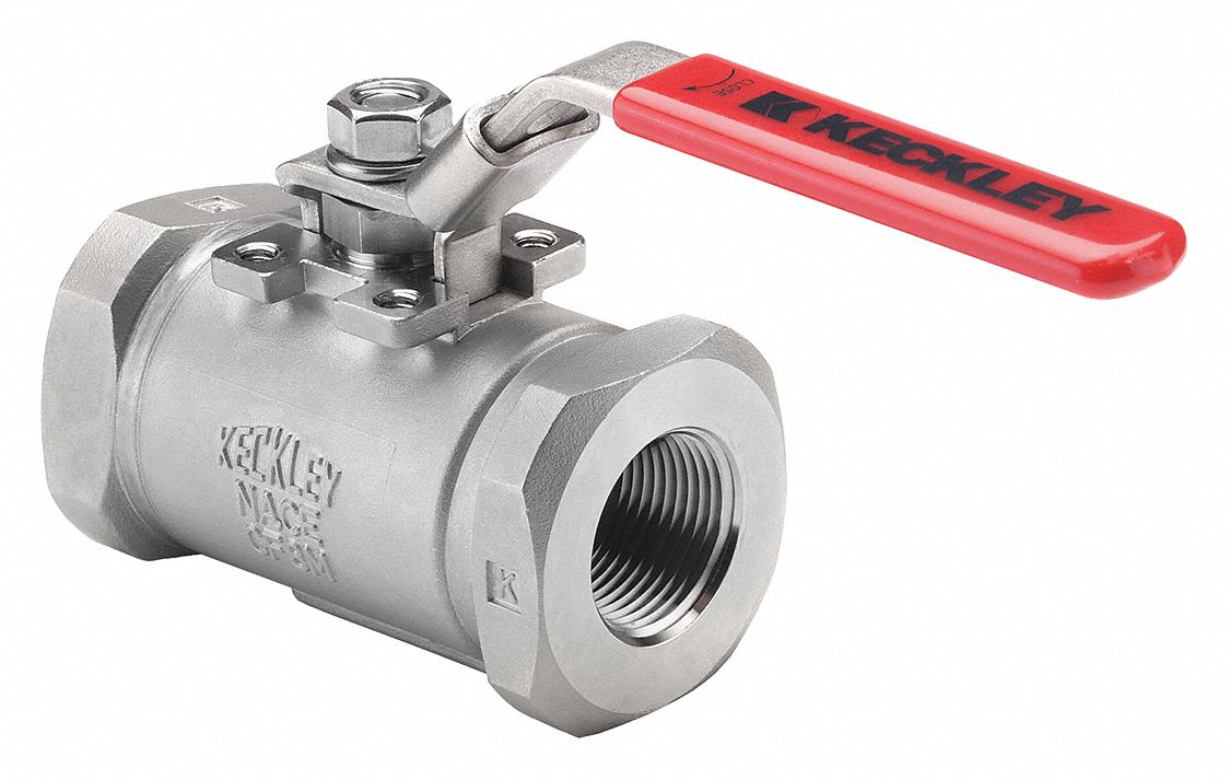KECKLEY BVS6THRSSPGSL100 Manual 2-Way Ball Valve NPT 316 SS
