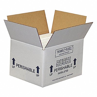 POLAR TECH 53XM38 Insulated Shipping Container PK4