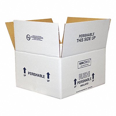POLAR TECH 53XM43 Insulated Shipping Container PK4