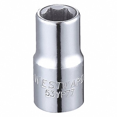 WESTWARD 53YP77 Socket Steel Chrome 1/4 in