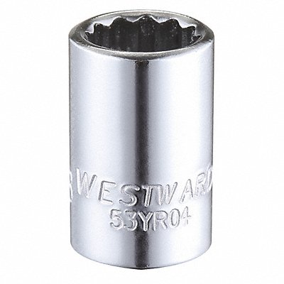 WESTWARD 53YR04 Socket Steel Chrome 3/8 in