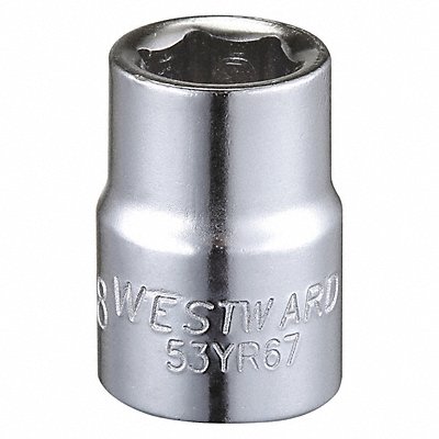WESTWARD 53YR67 Socket Steel Chrome 3/8 in