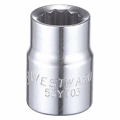 WESTWARD 53YT03 Socket Steel Chrome 3/8 in