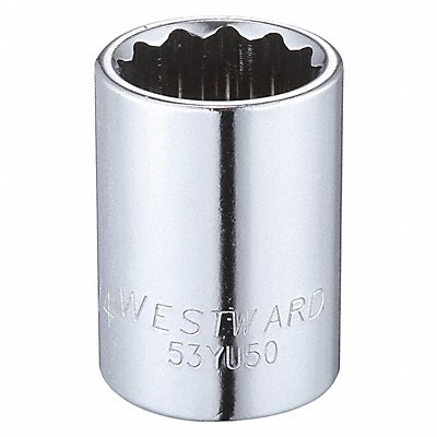 WESTWARD 53YU50 Socket Steel Chrome 3/4 in