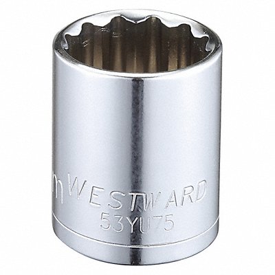 WESTWARD 53YU75 Socket Steel Chrome 24 mm